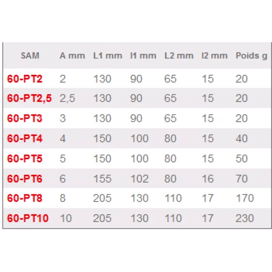 CLE MALE POIGNEE SAM OUTILLAGE EN L 6 PANS 6 MM- 60-PT6 3 CLE MALE POIGNEE SAM OUTILLAGE EN L 6 PANS 6 MM- 60-PT6