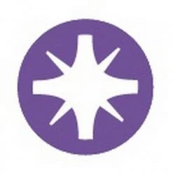 DOUILLE TOURNEVIS MONOBLOC 1/4 POZIDRIV PZ3 SAM OUTILLAGE - RSPZ3 6 DOUILLE TOURNEVIS MONOBLOC 1/4 POZIDRIV PZ3 SAM OUTILLAGE - RSPZ3 -Clés de serrage Soldes 2022 empreinte tournevis Pozidriv 01 2