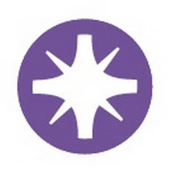 DOUILLE TOURNEVIS MONOBLOC 1/4 POZIDRIV PZ3 SAM OUTILLAGE - RSPZ3 4 DOUILLE TOURNEVIS MONOBLOC 1/4 POZIDRIV PZ3 SAM OUTILLAGE - RSPZ3 – Image 2